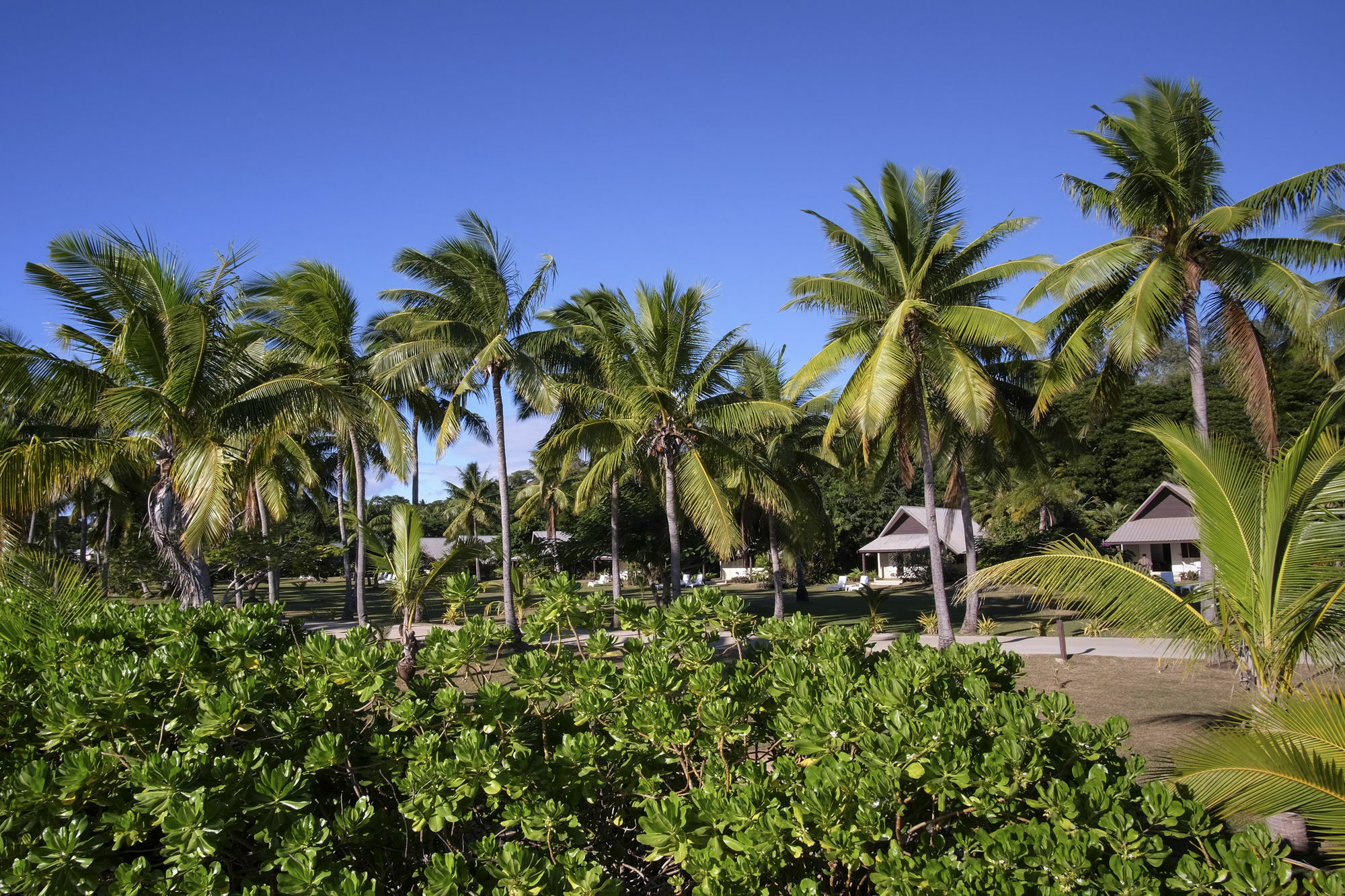 Musket Cove Island Resort Malolo Lailai Exterior foto